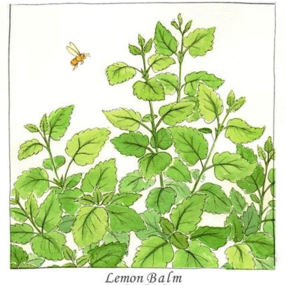 Meet your Posher, Josiah